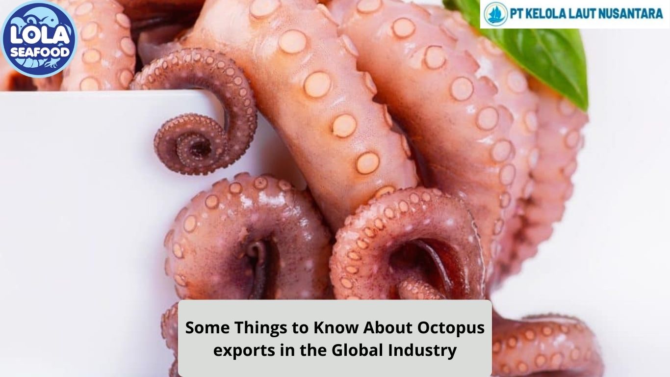 Some Things to Know About Octopus Exports in the Global Industry